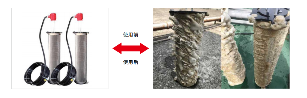 1685933971659365.png 微信截圖_20230605102923.png